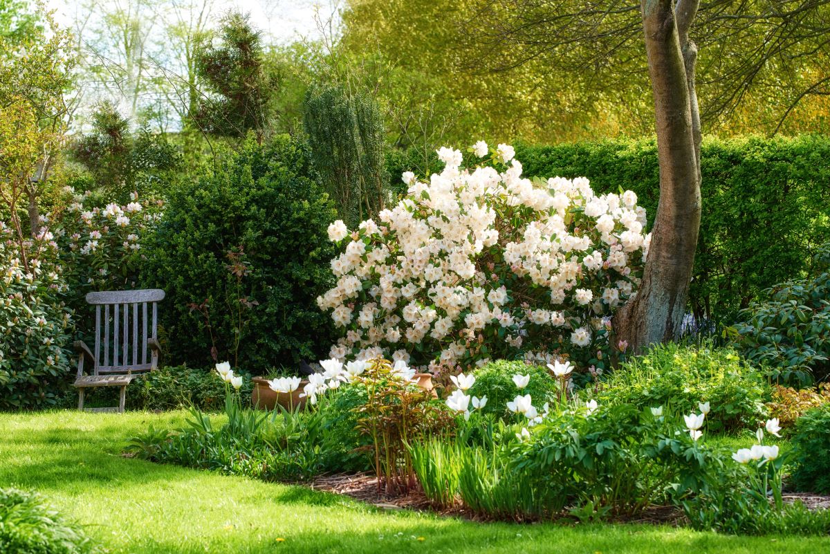 Ruhe im eigenen Garten — Der perfekte Rückzugsort in Heidelb
